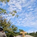 천상의 소리 팬플룻 이미지