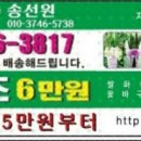 타이어월드 스마트카 이미지