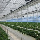 손가네농장 이미지