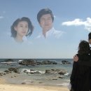 댕댕이 컷 이미지