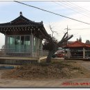 죽동마을회관앞 이미지