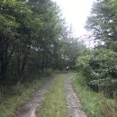 이화산등산로 이미지