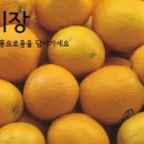 용문시장 이미지