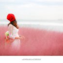 강변체육공원 이미지