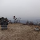 잔다리목장 이미지