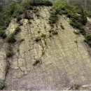 스트로마톨라이트 이미지