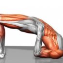 Personal Training GYM 이미지