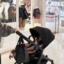 대가주천 이미지