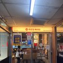 수진애견미용 | 운동술운동술운동술술운동술