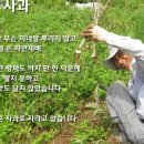 이철규사과