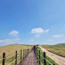 웰빙목장 | 무료로 즐기는 탁 트인 초원 산책 코스 후기 | 서산 한우목장 웰빙산책로