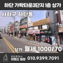 하단동174 이미지