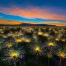 국제가든 이미지