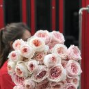 비치코스메틱 이미지