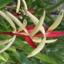 하나로드림㈜ 이미지