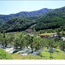 정명호농장 이미지