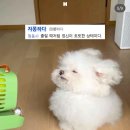 청호로 165 | 🍀7월달 일을 내가 어 떻 게 기억하냐고 #여름휴가 #풀빌라 #계곡 #자몽일기 #직장인일상 #여름여행