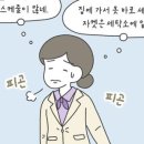 수&연컬렉션 이미지