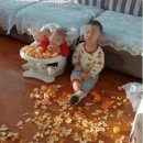 라부 이미지