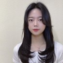 아브헤어 이미지