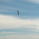 동물병원 감동 이미지