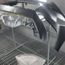 팀라온모터스 이미지