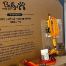 주식회사 밸리스 이미지