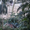 라스베가스식당 이미지