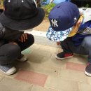 오감놀이4 이미지