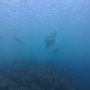 우아컴퓨터크리닝 이미지