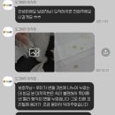 루이유치원 | [미사]미사 애견유치원 도그베이 미사점 내돈내산 후기