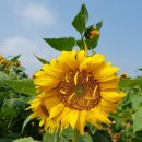 창평농장 이미지