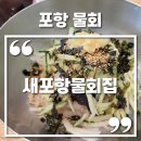 포항물회집 | 포항 현지인 물회 맛집 새포항물회집 내돈내산 솔직후기