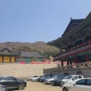 각원사봉향각 | [천안 구경] 가볼 만한 절 겹벚꽃 명소 태조산 각원사 관람 후기