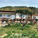 밥잘주는민박집 이미지