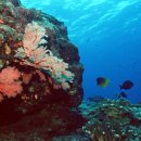 바다여행 이미지