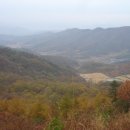 느재농장 이미지