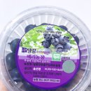 달콤한꿈을꾸는베리농장