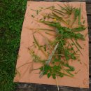 한티어린이집 이미지