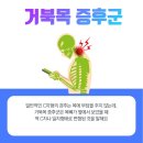 머슬메카 이미지