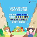 올바른과일