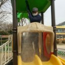 대명초등학교병설유치원 이미지