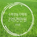 보리공인중개사사무소 이미지