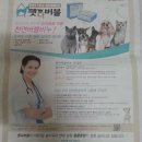 버블샵 이미지