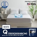 프로텍트