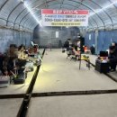 독정 티스토리