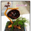 제10회 전국음식경연대회 이미지