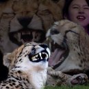 갸르릉 Daum카페