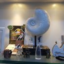 고운소리 보청기 이미지