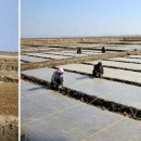 재령농장 이미지